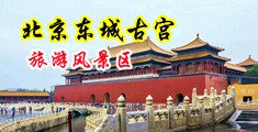 骚骚的黄色网站中国北京-东城古宫旅游风景区